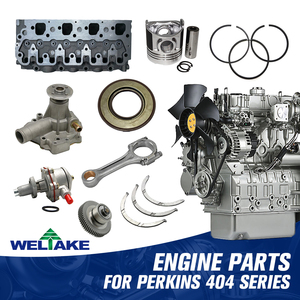 Động cơ diesel phun nhiên liệu bơm 131010080 cho Perkins 404d-22 404c-22 104-19 - Product Image 5