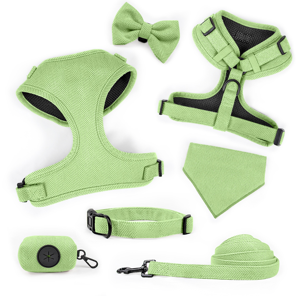 Vert