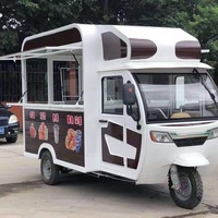 Tricycle Électrique en Acier Inoxydable pour la Restauration Mobile, Capacité 200 Unités, Garantie 2 Ans, Idéal pour la Restauration Rapide, les Glaces, les Hot-dogs et la Bière