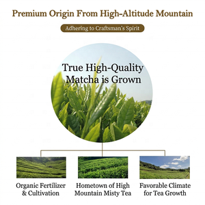 <span class=keywords><strong>Matcha</strong></span> en Polvo 100% Puro y Natural, Sin Aditivos, 1000 Mesh, Té Verde Vibrante Superfino para Comida y Bebidas Gourmet - Product Image 5