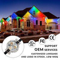 Contoh Gratis Lampu Led Pengontrol Aplikasi 12V Kecerahan Tinggi Lampu Sorot Permanen Natal