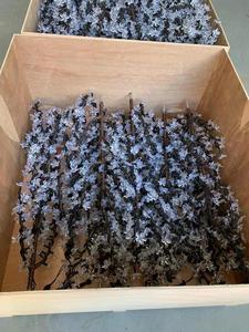 LED Trong Suốt PVC Bìa Và Sắt Chi Nhánh Cây Ánh Sáng CHERRY BLOSSOM Chiếu Sáng Ngoài Trời Cây - Product Image 2