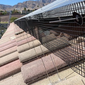 8 ''X 100ft 1.3 mét PVC tráng Hàn lưới chim bằng chứng <span class=keywords><strong>Net</strong></span> cho mái nhà năng lượng mặt trời ul được liệt kê năng lượng mặt trời chim lưới RoHS compliant Bird lưới - Product Image 5