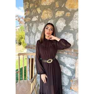 Vestido Largo de Gasa Marrón con Cuello Alto y Volantes, Corte Holgado, Translúcido, para Uso Diario Informal - Product Image 3