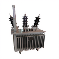 Transformador de Potencia Eléctrico Trifásico Guangfa de 250KVA/11KV/Oem, Estructura de Bobina Toroidal Sumergida en Aceite con Devanado de Cobre, 50Hz/60Hz