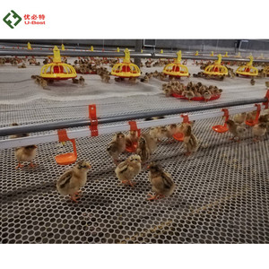 Dụng Cụ Cho Gà Con Uống Nước Tự Động Cho Gia Cầm Và Người Uống Cho Gà Thịt - Product Image 2