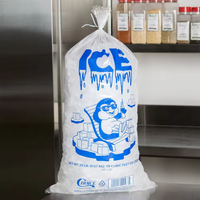 Sacs à glace de qualité alimentaire transparents 5KG LDPE, pochettes plates pour le stockage des glaçons, sacs en plastique pour l'emballage des glaçons
