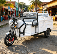 Tricycle électrique EEC pour passagers et marchandises, capacité de chargement, vitesse maximale 40 km/h, trike électrique pour courtes distances