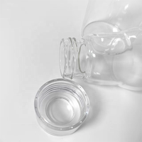 Bouteille en verre créative pour jus et smoothies, grande capacité 16oz 27oz 32oz, tasse à boisson portable en verre