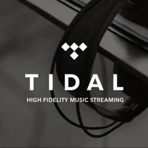 บัญชีสมาชิก Tidal HiFi Plus แบบ 12 เดือน บัญชีสตรีมมิ่ง Tidal Premium - Product Image 3