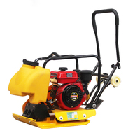Meilleure qualité livraison gratuite CE EPA moteur à essence moteur portable plaque de terre compacteur compacteur de sol