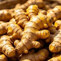 Poudre de curcuma naturelle de qualité cosmétique 1 kg pour masque facial et produits de soin de la peau