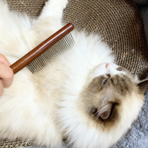 مشط خشبي صلب صديق للبيئة لتهذيب شعر الحيوانات الأليفة، يساعد على فك التشابك ومكافحة البراغيث، مع إمكانية إضافة شعار مخصص - Product Image 3