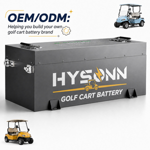 Programa de Distribución de Baterías de Litio de Alta Capacidad, Batería de Ciclo Profundo de 51.2V 65Ah para Carrito de Golf, Triciclo Eléctrico, Vehículo Turístico - Product Image 3