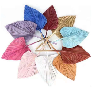 Centre de table floral grande feuille de <span class=keywords><strong>palmier</strong></span> feuilles de <span class=keywords><strong>palmier</strong></span> séchées feuilles de <span class=keywords><strong>palmier</strong></span> conservées - Product Image 6