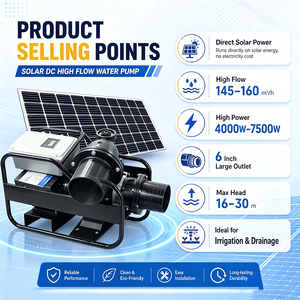 <span class=keywords><strong>Pompe</strong></span> <span class=keywords><strong>solaire</strong></span> de surface DC 4 kW à moteur brushless pour l'irrigation agricole et l'<span class=keywords><strong>arrosage</strong></span> des cultures - Product Image 2