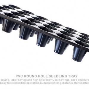 Bandejas <span class=keywords><strong>de</strong></span> plástico para semillas <span class=keywords><strong>de</strong></span> 200 celdas, bandejas <span class=keywords><strong>de</strong></span> plástico para propagación <span class=keywords><strong>de</strong></span> plantas <span class=keywords><strong>de</strong></span> <span class=keywords><strong>mango</strong></span>, bandejas <span class=keywords><strong>de</strong></span> vivero <span class=keywords><strong>de</strong></span> plástico - Product Image 2