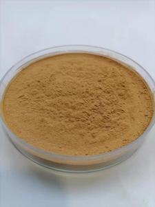 Cung cấp giá bán buôn 10:1 vỏ cây quế chiết xuất bột trong số lượng lớn - Product Image 4