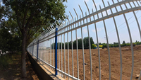 Panneaux de clôture extérieurs de haute qualité pour la cour, galvanisés pour la sécurité, résistants à la rouille, très écologiques, design moderne