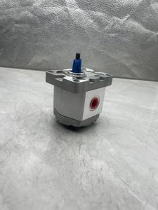ปั๊มเกียร์สูง RGP-F316/318/320/323/325/328/330-R RGP-F106R RGP-F110R RGP-F116R RGP-F120R RGP-F125R RGP-F130R - Product Image 2