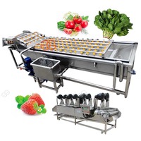 Topkwaliteit Industriële Verse Groente Wasmachine Machines Prijs Kool Wasmachine