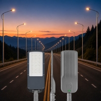 Lampadaire LED 50W IP65 Étanche en Aluminium Moulé Sous Pression OEM Économe en Énergie pour Projets de Parkings, Autoroutes et Trottoirs