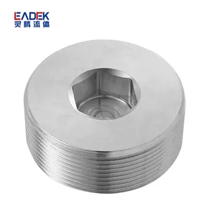 ASME High Quality Stainless Steel 304 316 Forging Inside Hex Plug Supplier Price