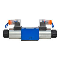 Vannes directionnelles à bobine hydrauliques à commande électromagnétique 4WE DSG 4WE6 4WE10 3WE 3WE6 3WE10 DSG01 DSG03