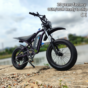 Nouvelle Moto Électrique Tout-Terrain pour Adultes, Moteur Haute Vitesse 1000W, Pneus Larges 20 Pouces, 48V 15Ah, Vélo Électrique Tout-Terrain - Product Image 1