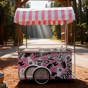 Carrito de Comida Móvil con Congelador, Remolque para Venta de Helados y Gelato - Product Image 6