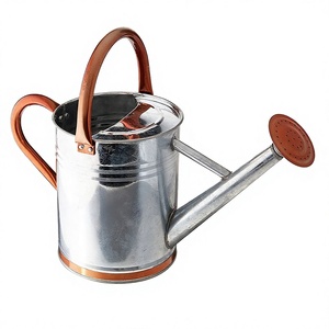 Arrosoir en métal de style vintage pour plantes - Décoration artisanale en cuivre argenté pour le jardinage intérieur et les accents décoratifs pour la maison - Product Image 1