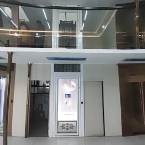 Lift Hidrolik Rumah untuk Penggunaan Hunian 2-6 Lantai  Lift Rumah Kecil dan Ringkas - Product Image 4