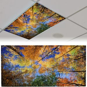 Cubierta para Lámpara Fluorescente con 10 Imanes para Techo, Filtros Magnéticos para Lámparas de Aula, Oficina, Decoración para Lámparas Colgantes (Cielo Azul) - Product Image 3