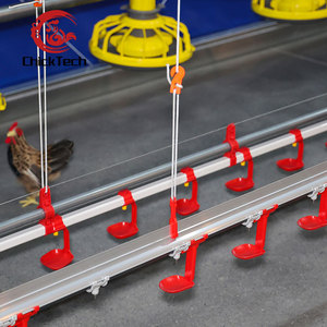 Gabbie Automatiche Tipo H per Polli da Carne, Resistenti, con Mangiatoia e Abbeveratoio, Durata 15-20 Anni, 1 Anno di Garanzia, Attrezzatura per Allevamento di Polli - Product Image 3