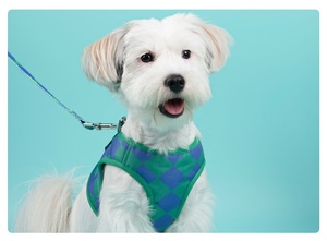 Arnés de Paseo para Perros de Malla de Poliéster Personalizado al por Mayor con Chalecos y Correa a Juego - Product Image 2