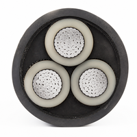 AL/XLPE/PVC 3-adriges Aluminium-Leistungskabel XLPE-Isolierung PVC-Mantel 4x50mm2 0,6 1kV Energieübertragung