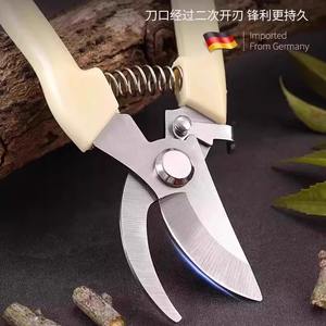 กรรไกรตัดกิ่งสแตนเลสนำเข้าจากเยอรมนี ด้ามจับพลาสติก สำหรับตัดแต่งต้นไม้ผลไม้ ใช้ในสวน - Product Image 1