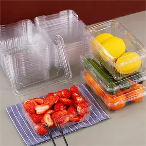 Manufacturers Keep Fresh Food Containers PET Blister Plastic Boxes For Fruits Vegetables Snack