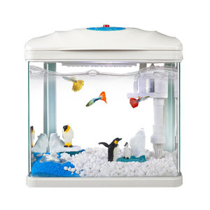 <span class=keywords><strong>Acuario</strong></span> Senshen de Circulación Automática para Sala de Estar, Pecera Doméstica de Escritorio para Personas con Poco Tiempo, Pequeño Tanque de Vidrio HR, Venta al por Mayor y Dropshipping - Product Image 5