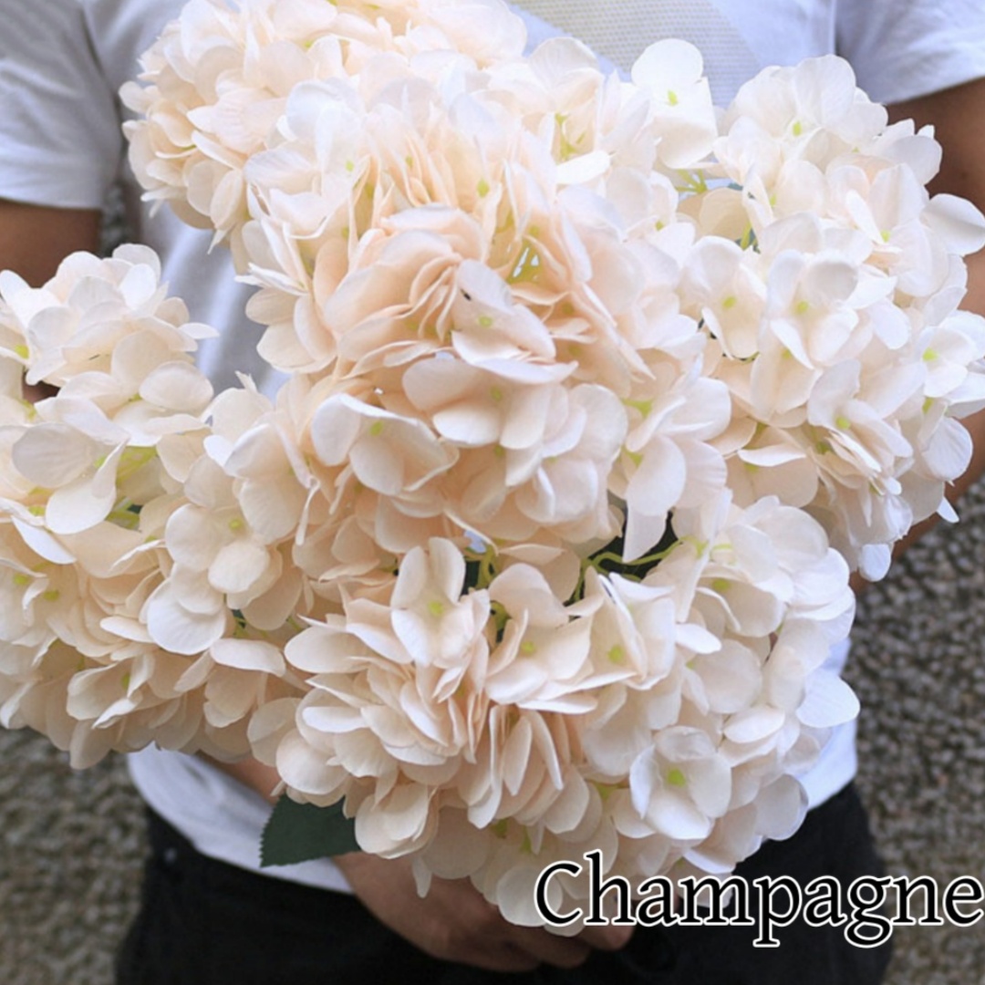 Champagne
