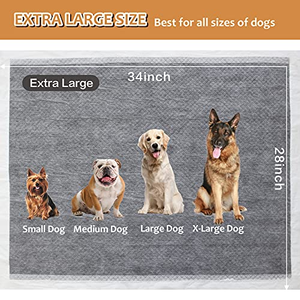 Tapis d'apprentissage jetables super absorbants à séchage rapide pour chiens et chiots – Vente en gros - Product Image 2