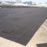 Panneau de drainage HDPE vert noir Interlock Geocell Panneau de plantation Grille de pavé d'herbe en plastique