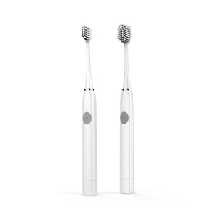 Brosse à dents électrique sonique Seago OEM, économique, mince, fonctionnant sur piles, étanche IPX7, avec couleur élégante pour adultes. - Product Image 1