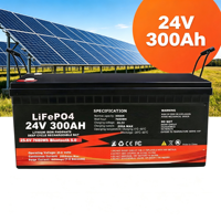 Batterie LiFePO4 24V 300Ah 25.6V 7680Wh à décharge profonde pour système solaire, camping-car, bateau, marine avec Bluetooth