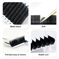 Plateaux d'extensions de cils coréens en PBT, forme ellipse plate, 0,15 mm, courbure C D, extensions de cils individuelles noir mat, fournitures en gros