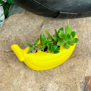 <span class=keywords><strong>Pot</strong></span> de fleurs créatif en résine époxy écologique pour petites plantes succulentes, 0,5 L, pour jardin extérieur, maison, bureau, durable - Product Image 5