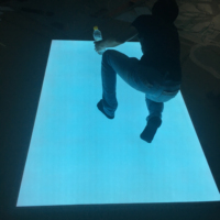 OEM Tamaño Personalizado A1 A2 A3 A4 A5 Electroluminiscente El Panel de Retroiluminación