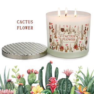 Bougie artificielle costume de <span class=keywords><strong>CACTUS</strong></span> <span class=keywords><strong>fleur</strong></span> de soja 100% biologique, 14.6oz, 3 brin, étiquette privée, odeur, longue durée 125H, cadeaux pour la maison, offre spéciale - Product Image 4