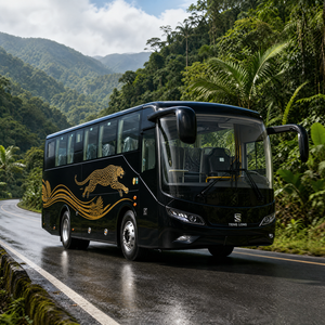 Autobús de lujo TENGLONG nuevo de 9 metros, diésel, con 37 asientos más 1, para agencias de viajes, alquiler por contratación y alquiler en grupo. - Product Image 1