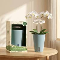 Coffret Cadeau Premium Kit de Jardinage Intérieur Auto-Arrosant avec Anneau Lumineux de Croissance 10W pour Orchidées CE ETL OEM ODM Disponible